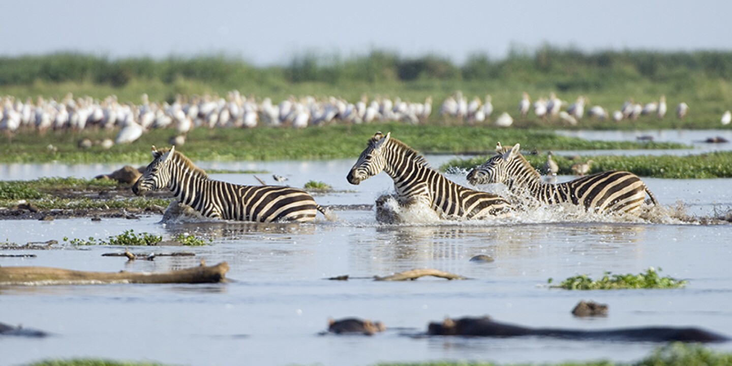 Lake Manyara Tanzania safari landscape